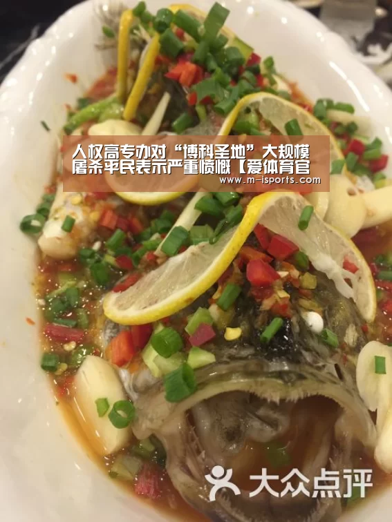 人权高专办对“博科圣地”大规模屠杀平民表示严重愤慨【爱体育官网】(图3) 爱体育游戏