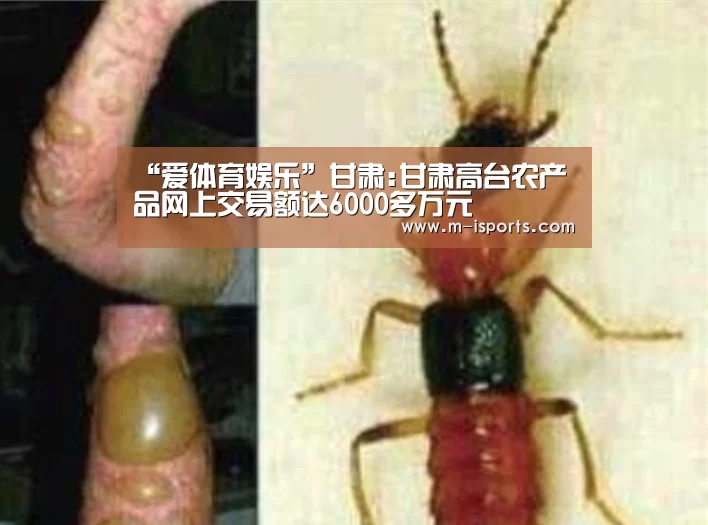 “爱体育娱乐”甘肃:甘肃高台农产品网上交易额达6000多万元(图1) 爱体育官方