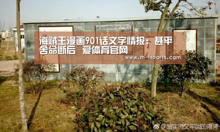 爱体育娱乐
